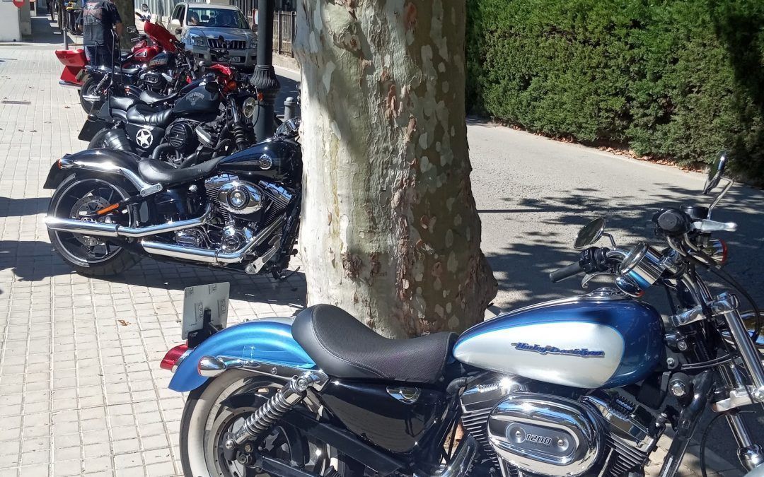 Cómo cambiar puños en Harley Davidson