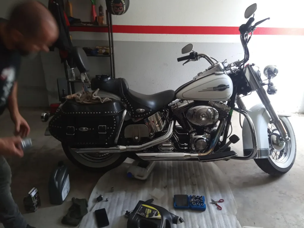 burra softail guti