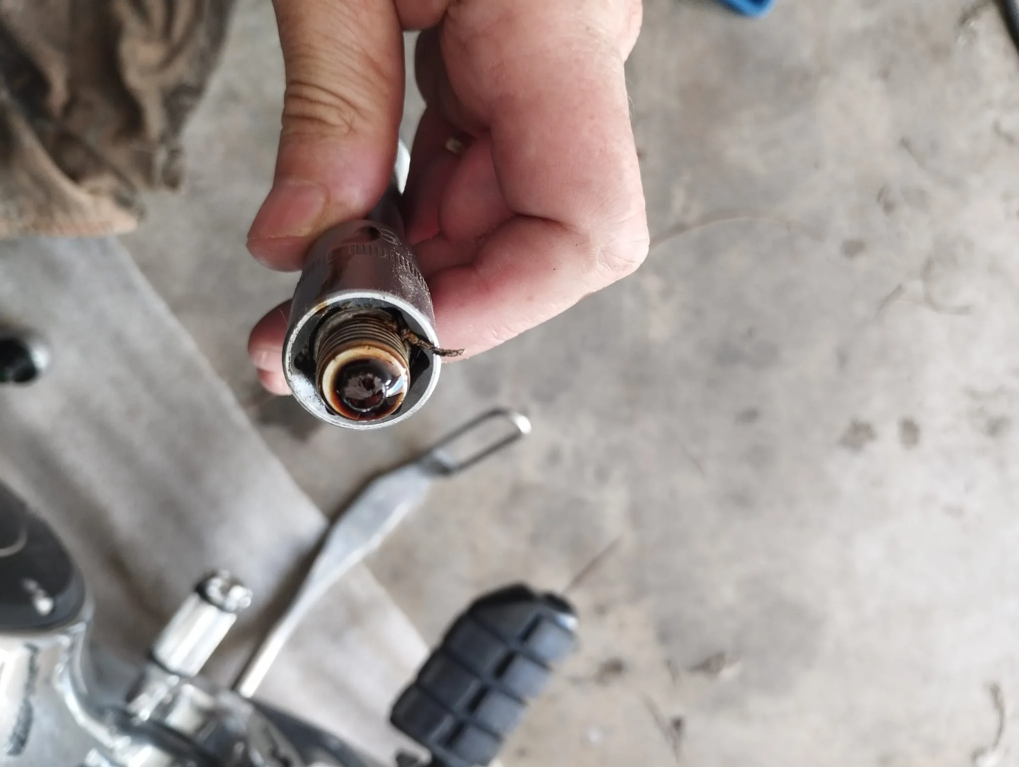 Inspeccionamos que no haya mucha ferricha
