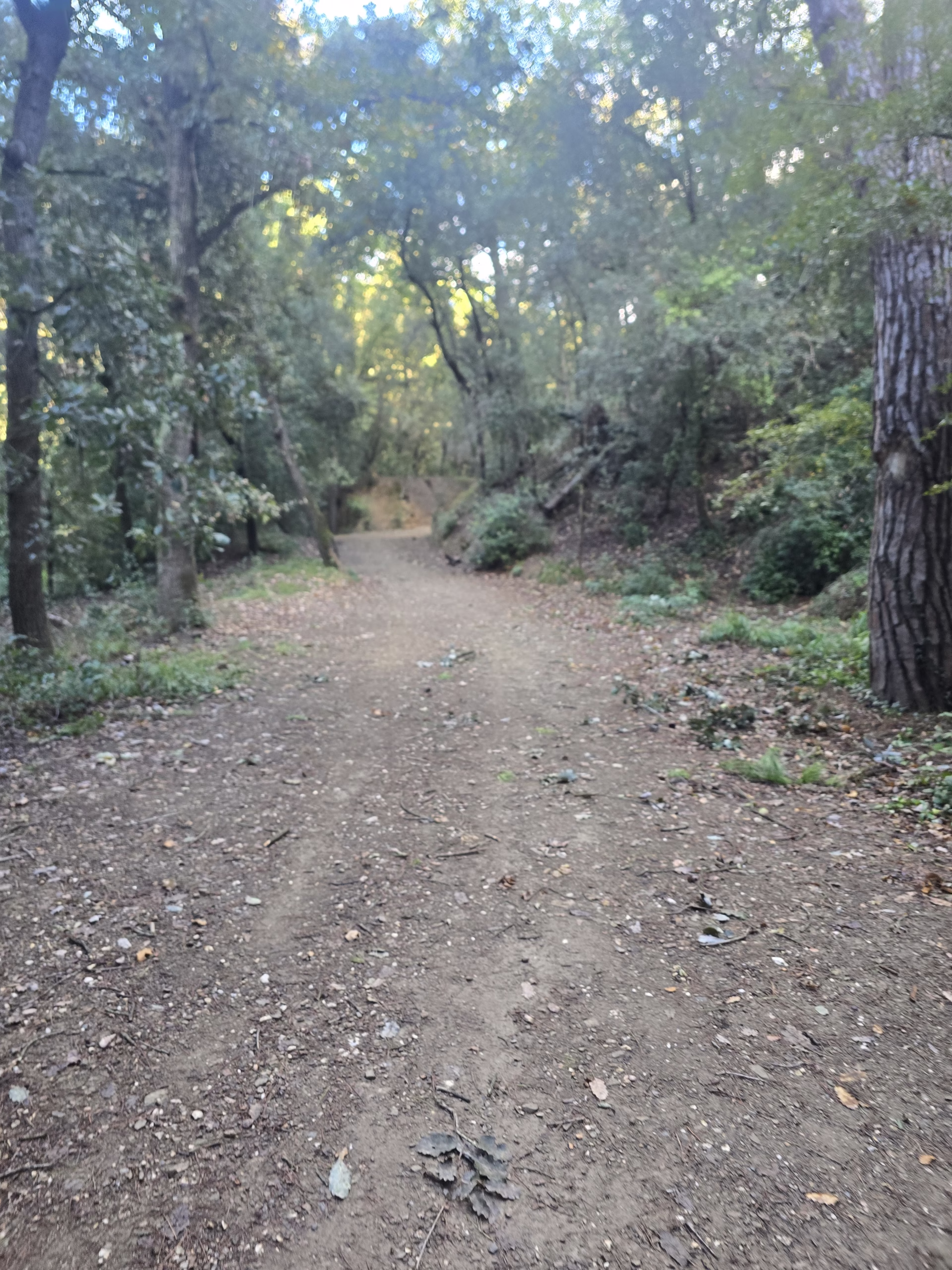 Luego hicimos una caminata para ayudar hacer la digestión Luego hicimos una caminata para ayudar hacer la digestión