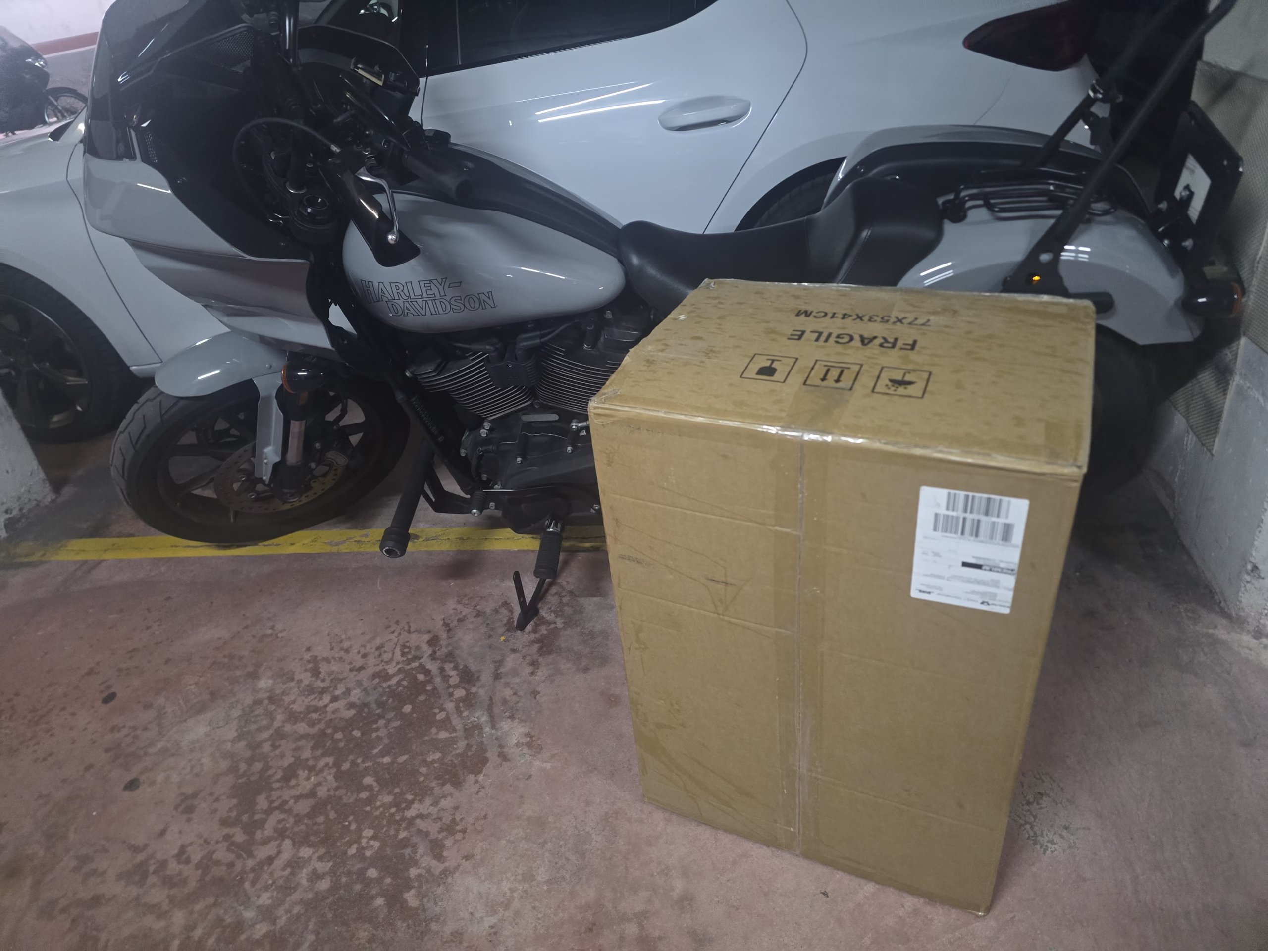 Llegaron las alforjas Llegaron las alforjas
